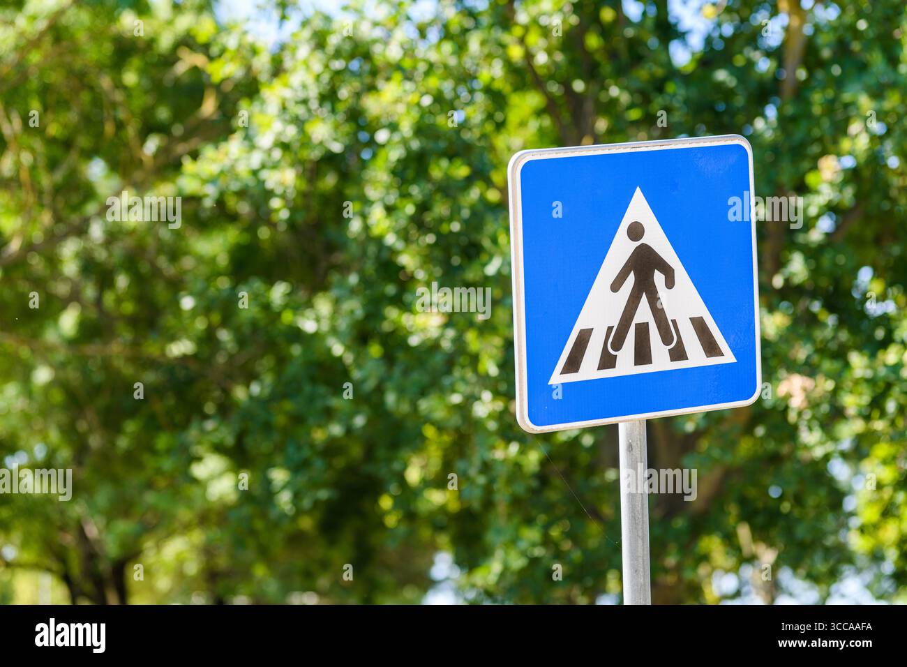 Blaues Verkehrsschild für Fußgänger mit einer Gehfigur, im Freien fotografiert mit einem grünen grünen grünen Hintergrund bei Tageslicht. Selektiver Fokus. Stockfoto