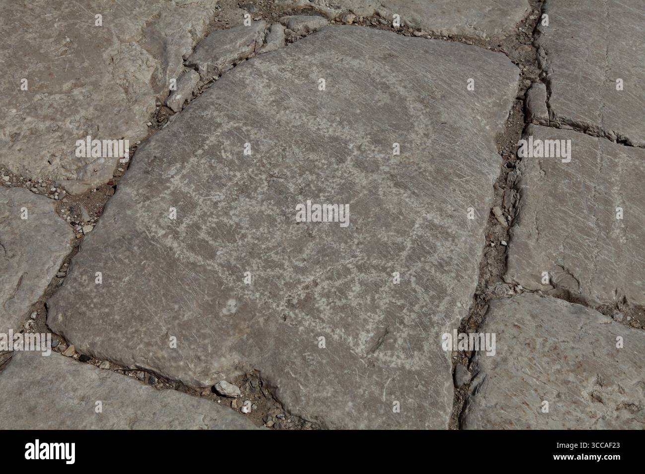 Zippori, Tischplattenspiel oder Tischplatte geätzt und gespielt im 1. Bis 4. Jahrhundert auf Kalksteinplatten des Decumanus, der East West Street in römischer Zeit. Stockfoto