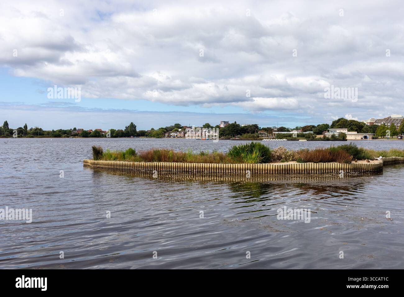 Poole Park an einem Sommermorgen. Dorset, England, Großbritannien Stockfoto