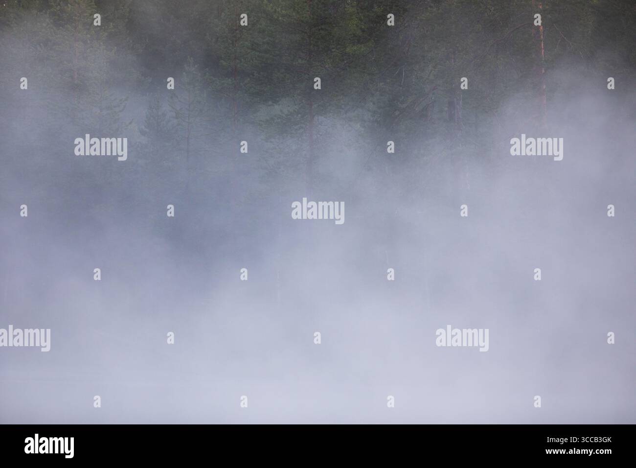 Am frühen Morgen verdampft Wasser aus einem See. Stockfoto