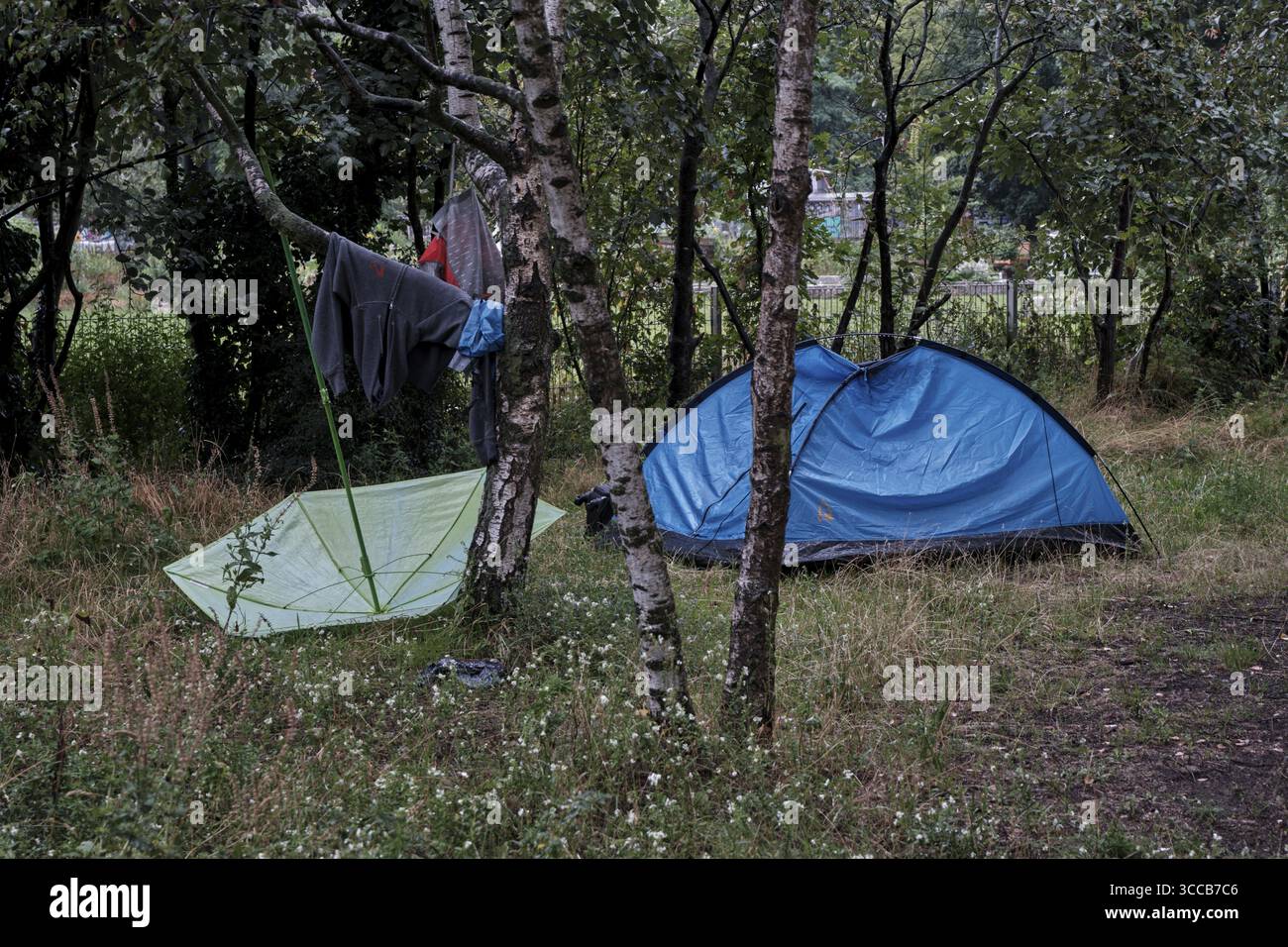 Deutschland, Berlin, 17.07.2025, regnerischer Tag im Prenzlauer Berg, Mauerpark, Birkenhain, Zeltlager eines Obdachlosen, Kleidung zum Trocknen Stockfoto