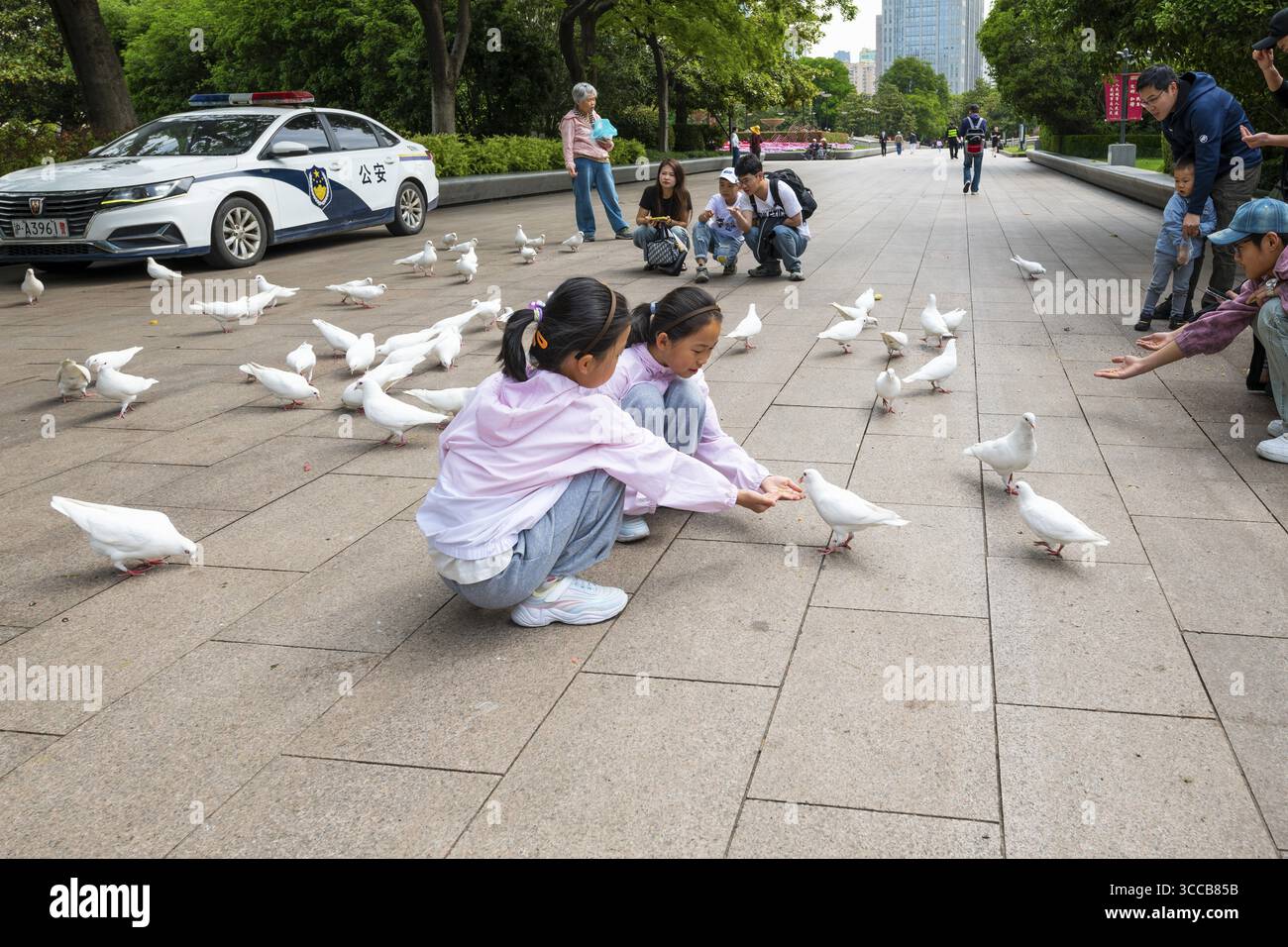 Kinder, die zahme Tauben füttern, People's Park, Square, Shanghai, Volksrepublik China Stockfoto Kinder, die zahme Tauben füttern, People's Park, Square, Shanghai, Volksrepublik China Stockfoto