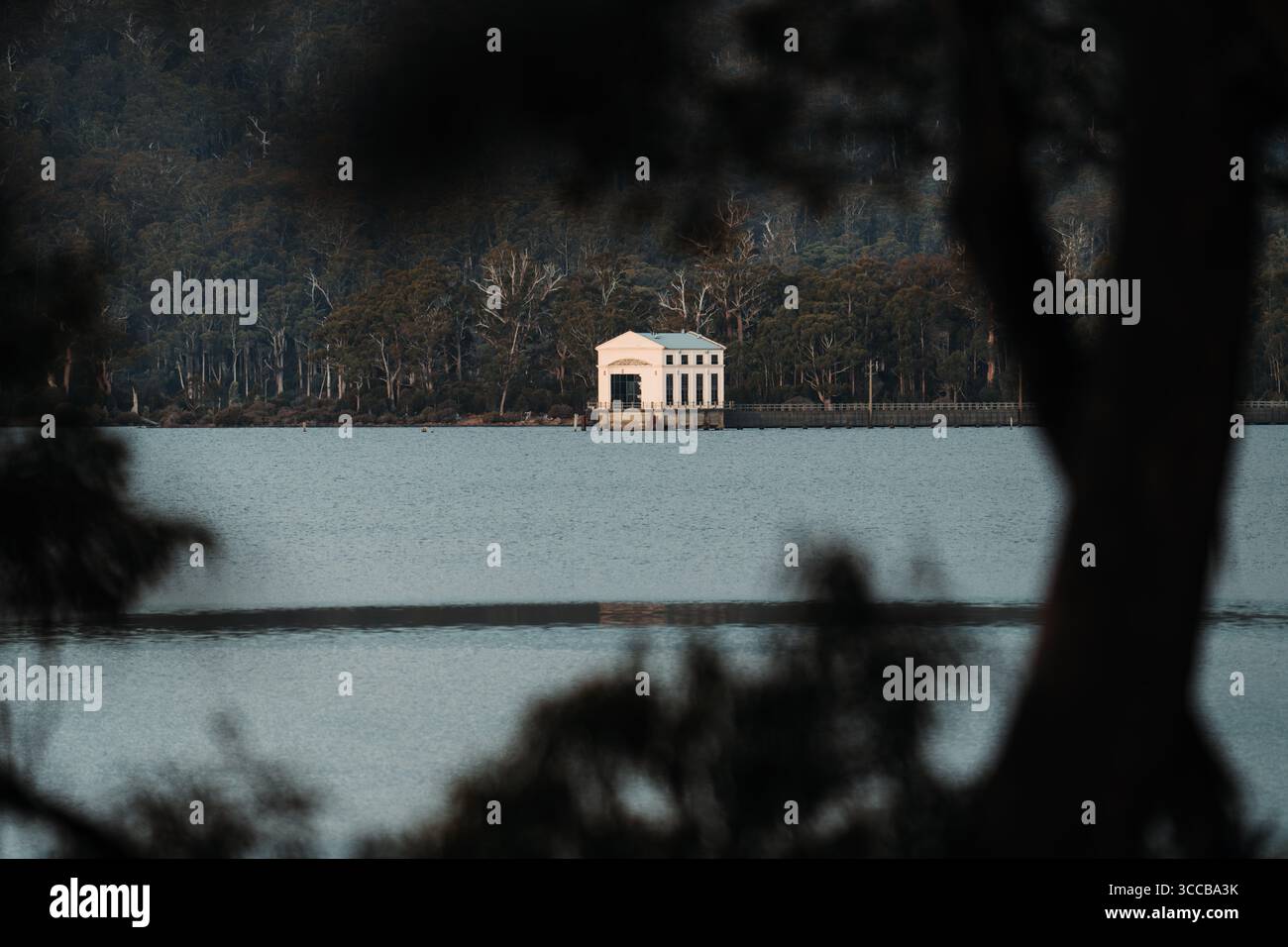 Malerischer Fluss- und Waldweg in Tasmanien, Australien, umgeben von üppigem Grün und Wildnis. Stockfoto