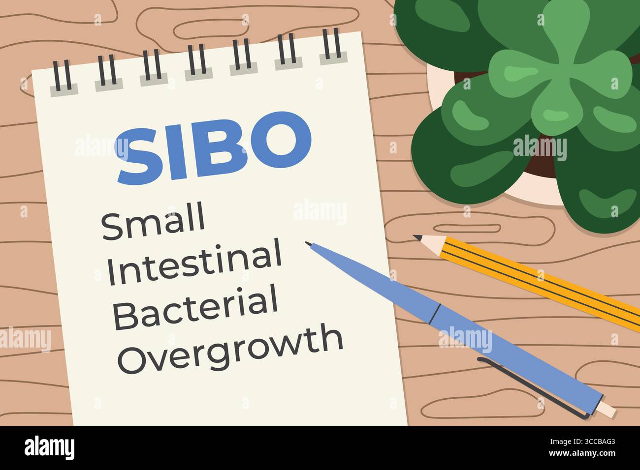 SIBO-Dünndarmbakterienüberwuchs in Spiralheft geschrieben; flache Lagenkomposition auf hölzerner Schreibtischvektorillustration Stock Vektor
