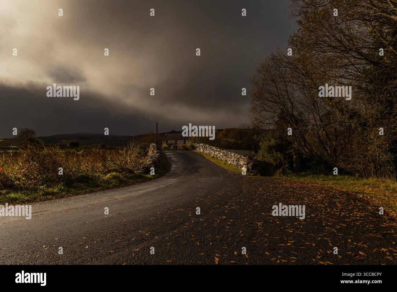 Die Quiet man Bridge in Leam East, County Galway, Irland, ist ein berühmter Drehort aus dem John Wayne-Film The Quiet man aus dem Jahr 1952, landschaftlich und historisch. Stockfoto
