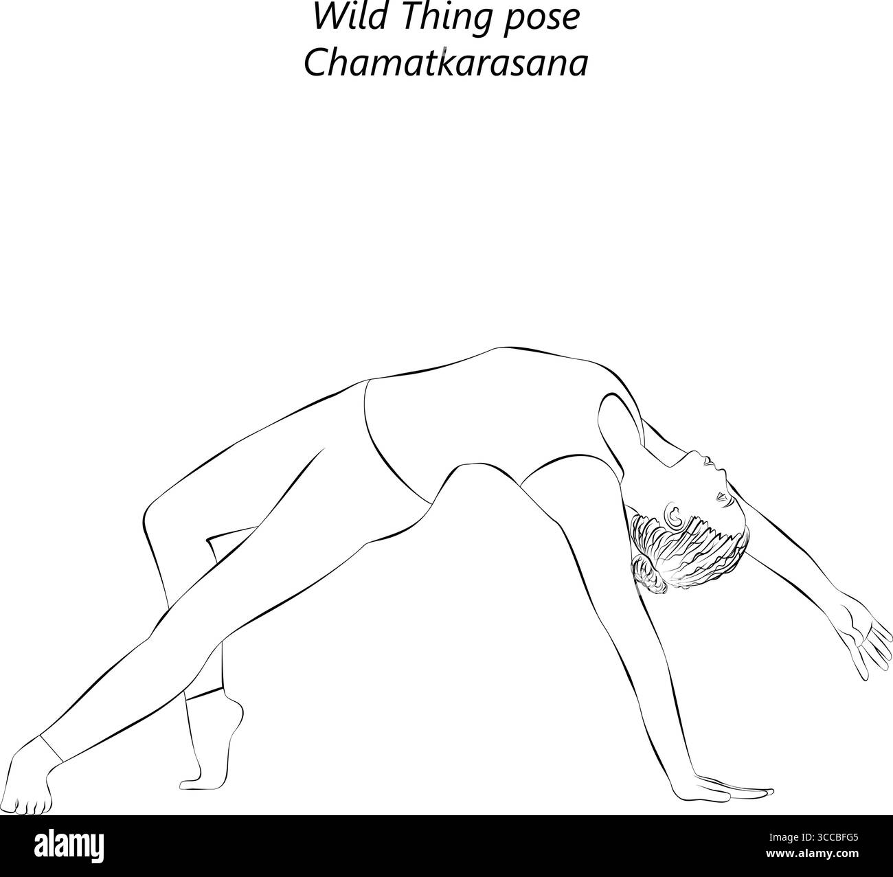 Skizze einer jungen Frau, die Chamatkarasana-Yoga-Pose praktiziert. Wild Thing Yoga Pose. Isolierte Vektordarstellung. Stock Vektor