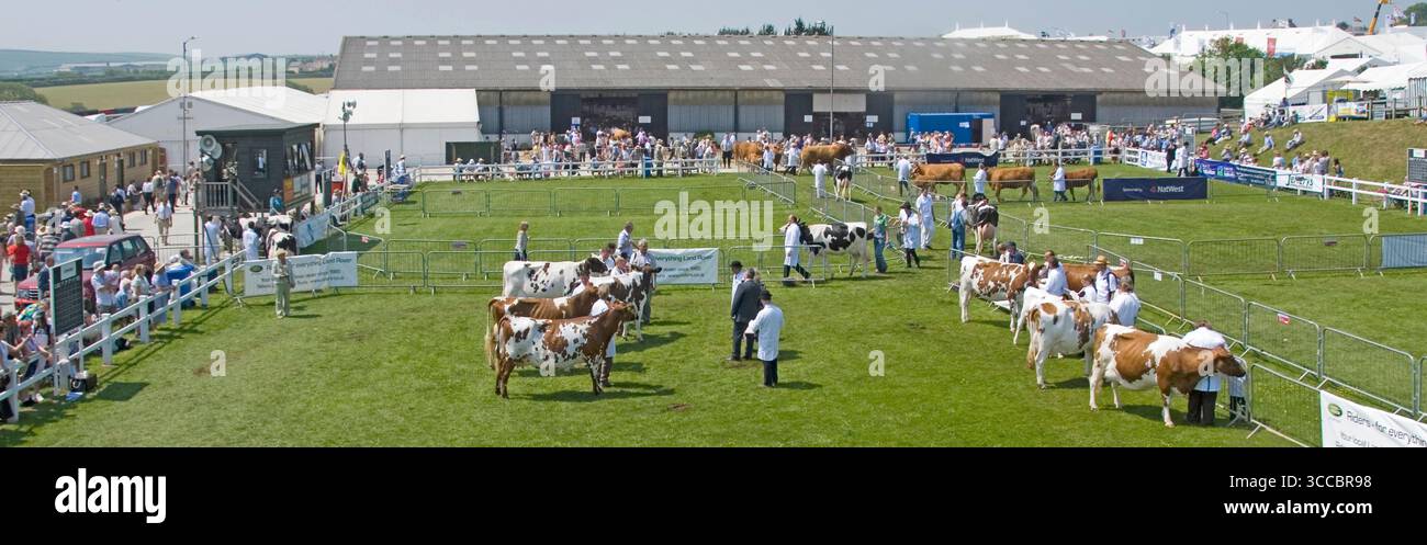 Archivbild einer Sommerveranstaltung aus den 06er Jahren eine Szene in der Royal Cornwall Agricultural County Show die Zuschauer sehen diese Archivansicht mit Blick auf drei Seiten von Viehvieh, die Ringkonkurrenz mit den meisten Männern und Frauen in der Arena in weißen Mänteln mit Richtern in dunklen Anzügen, die Trophäensieger auswählten, die alle an einem heißen, sonnigen Tag im Juni 2006 neben Tieren arbeiteten Stockfoto