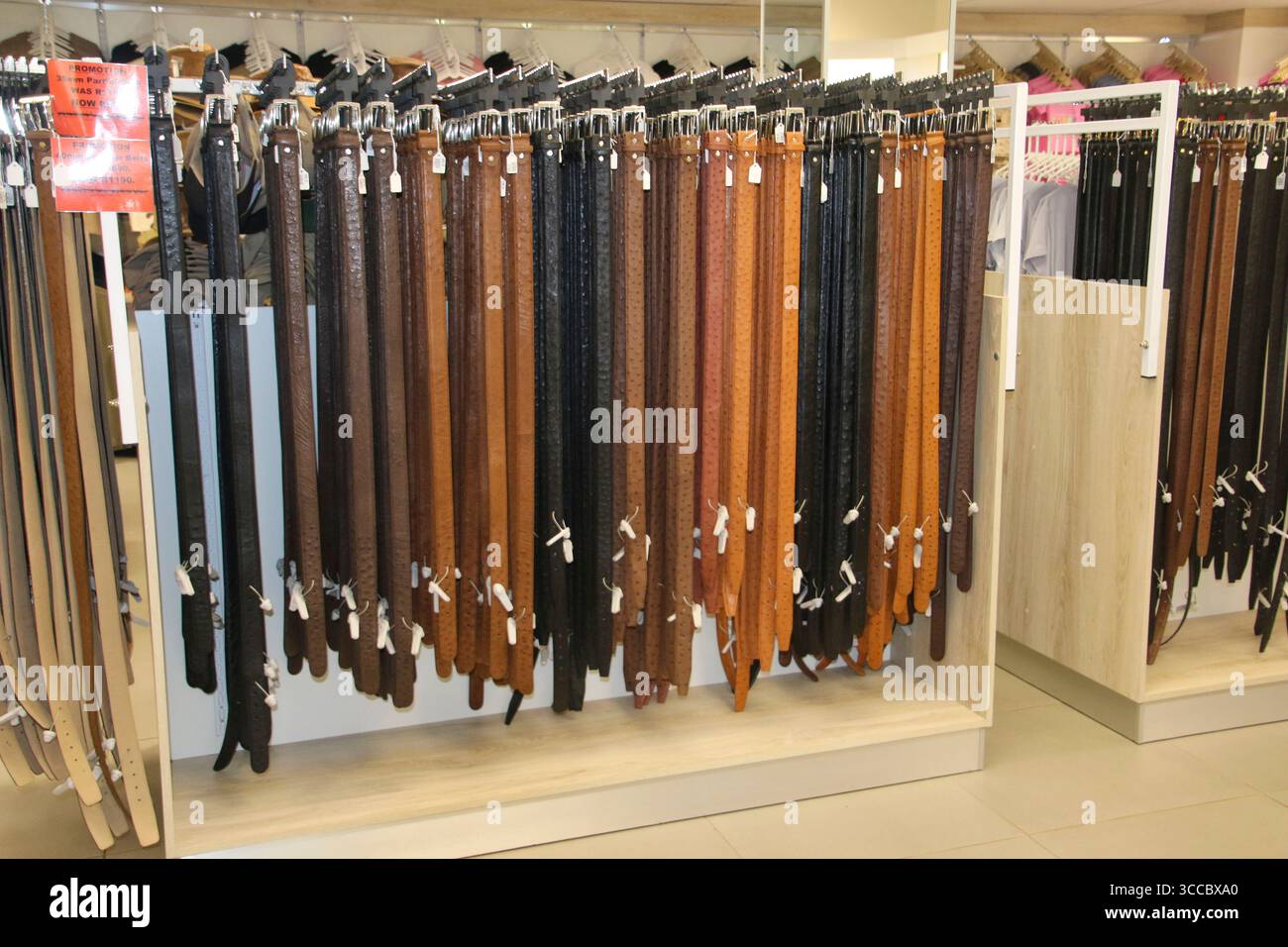 Safari Straußenfarm Südafrika Stockfoto