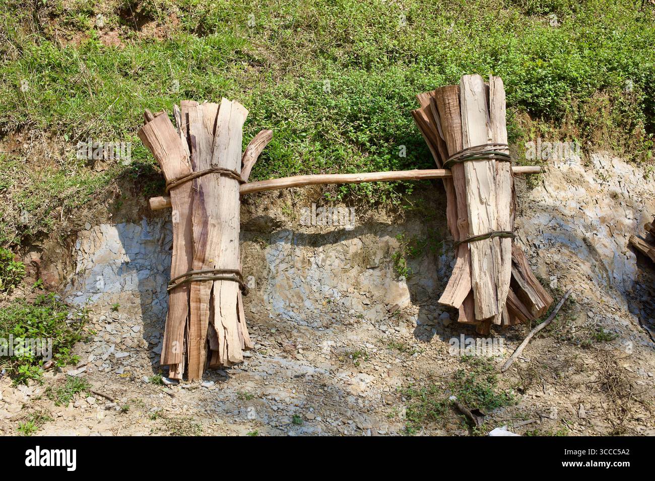Mit Seilen gefesselte Brennholzbündel, die an einem Holzpfosten in der Nähe des Niladri Lake, Sylhet, Bangladesch getragen werden. Stockfoto