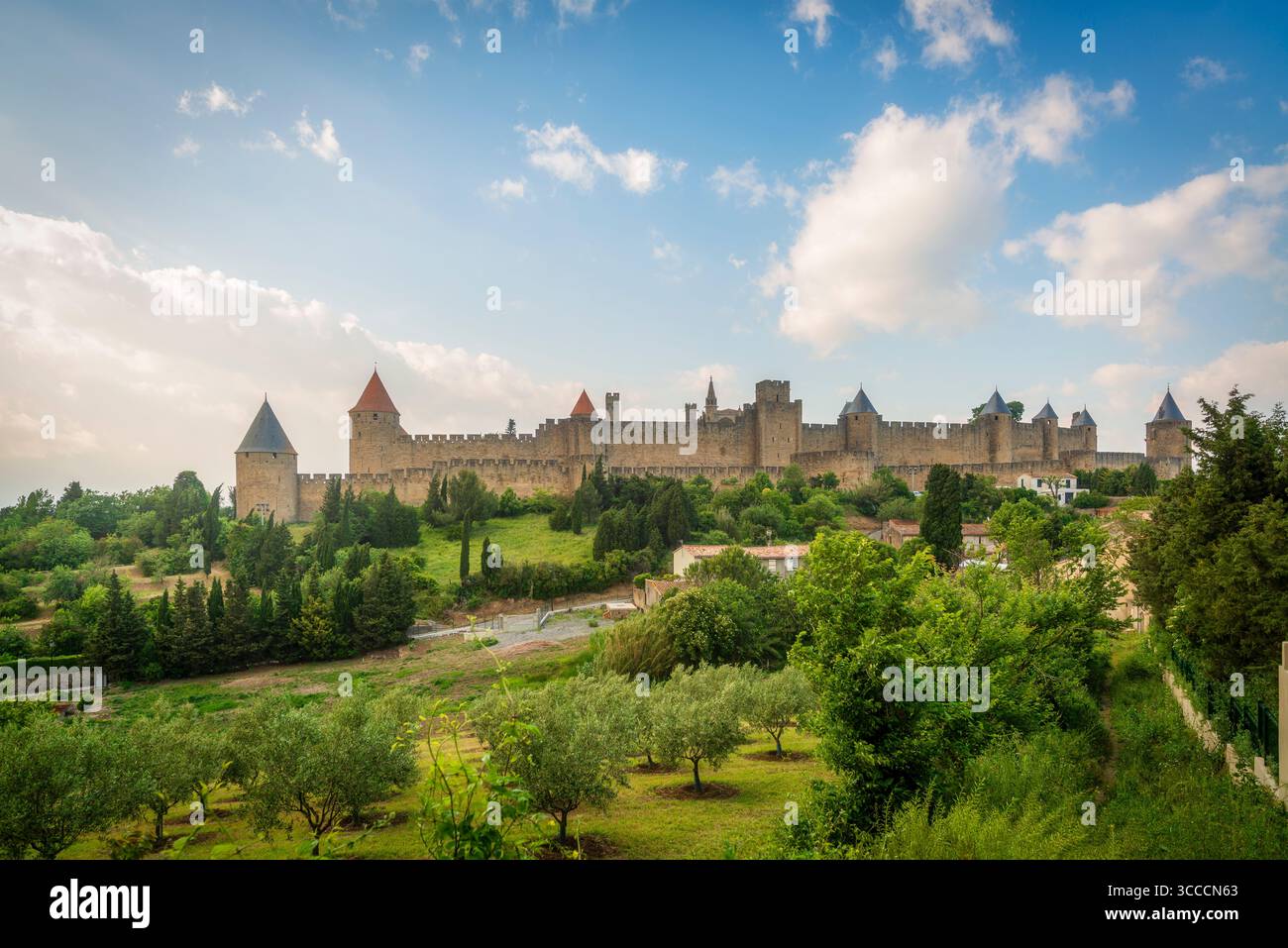 Carcassonne, Blick auf die mittelalterliche Festungsstadt La Cité. Departement Aude, Region Okzitanien, Frankreich Stockfoto