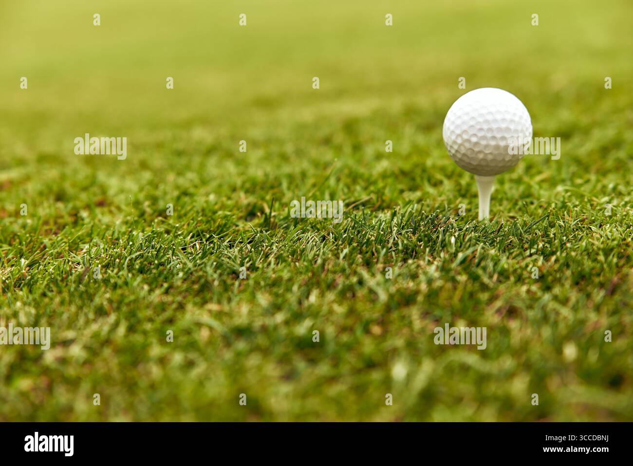 Dieses Nahaufnahme-Foto zeigt einen Golfball, umgeben von lebendigem grünem Gras, perfekt für golfrelierte Medien und Werbematerialien, die sich an Enthusiasten richten Stockfoto