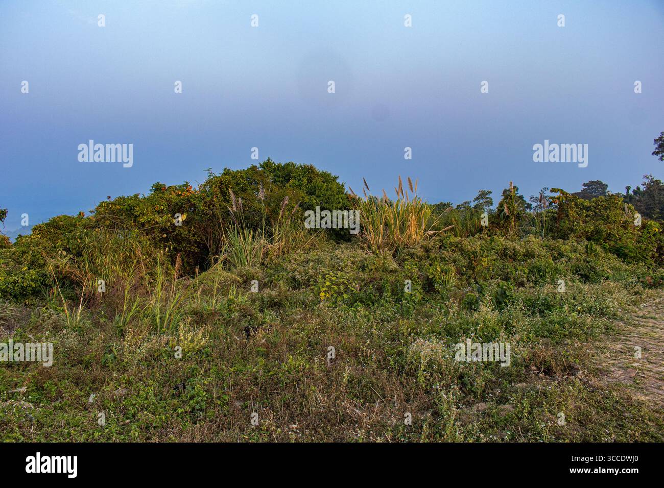 Eine kühle Brise weht über den Bergnebel von Sajeks. Stockfoto