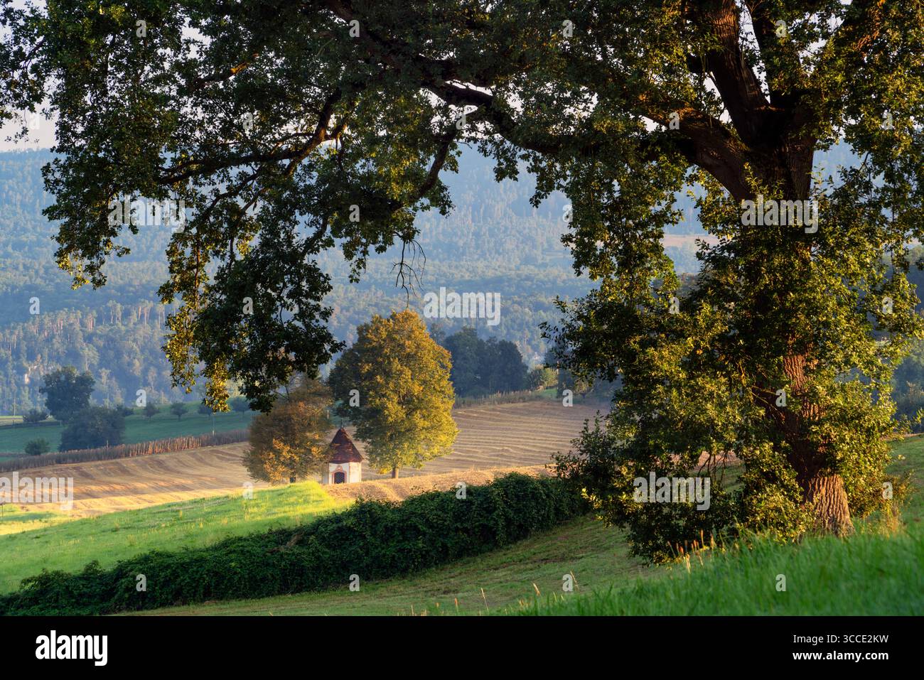 Schweiz, Baselland, Baselbiet, Brislach, Brislach BL, Kapelle, Fichtenhof, Kapelle Fichtenhof, Laufental, Laufen, Wahlen bei Laufen, Wahlen BL Stockfoto
