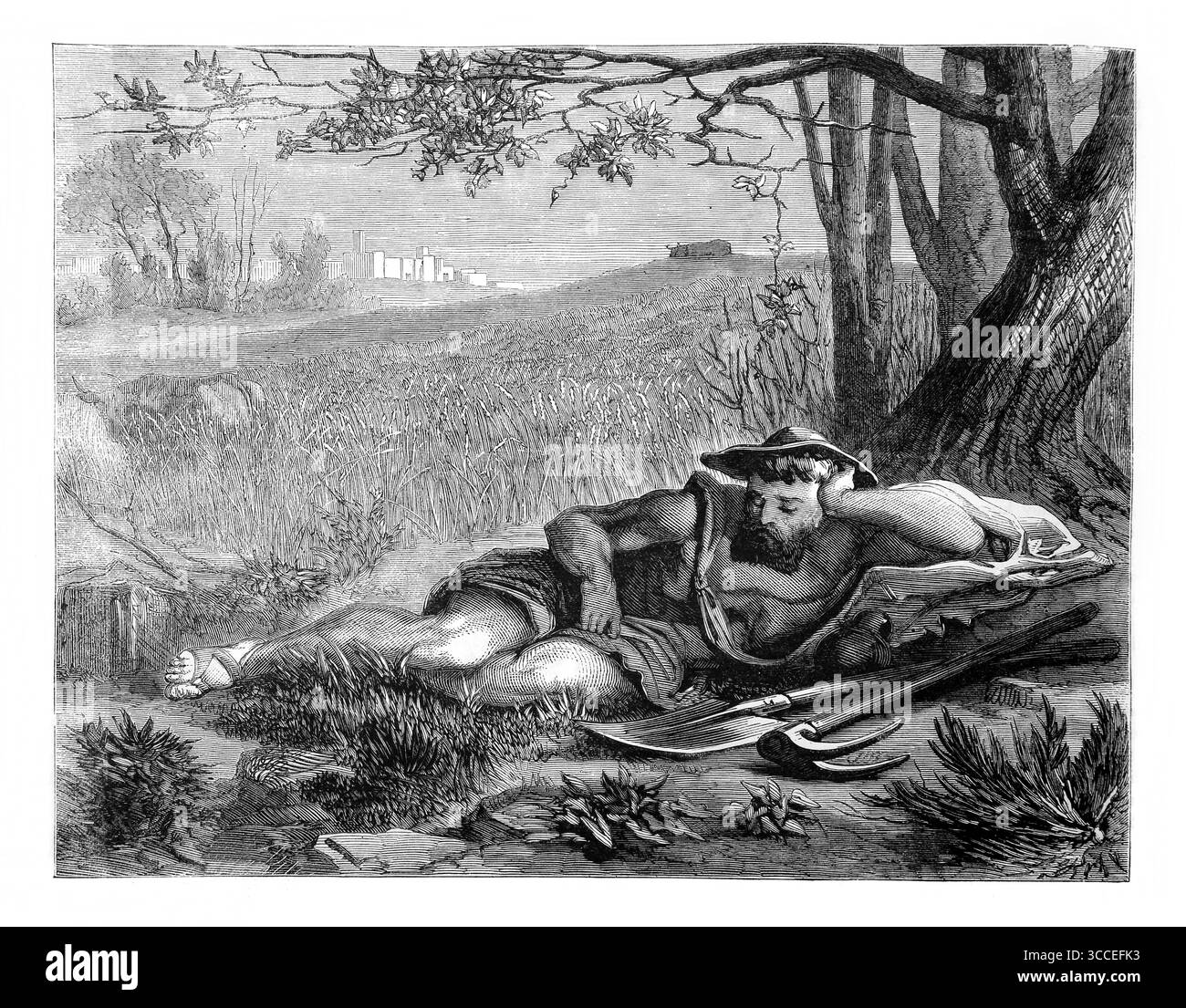 Veranschaulichung des Sprichs VI.6 Geh zur Ant, du Sluggard; bedenke ihre Wege und sei Weise - eine Darstellung eines Mannes, der auf dem Feld liegt und faul instea ist Stockfoto