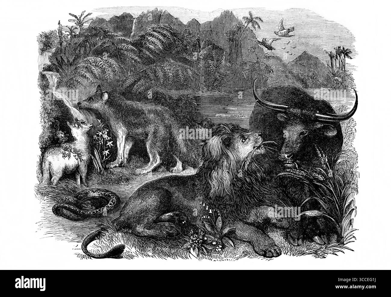 Illustration des Verses: "Wolf und Lamm werden zusammen weiden, und der Löwe wird Stroh essen wie der Farren, aber das Futter der Schlange wird sein Stockfoto