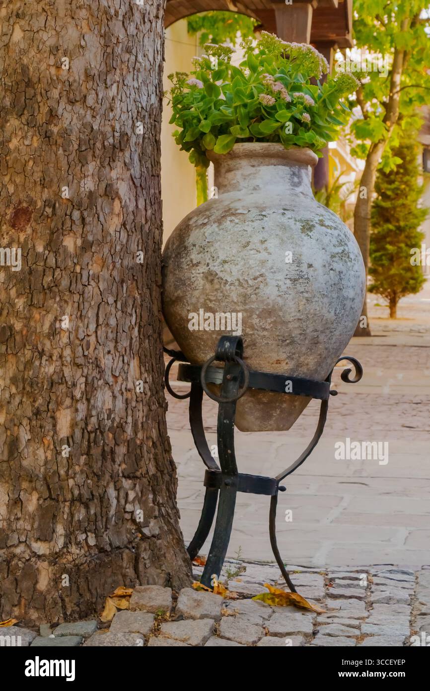 Ein großer, verwitterter Keramiktopf, gefüllt mit lebendigem Grün, befindet sich auf einem ruhigen Gartenweg, der von warmem m beleuchtet wird, an einem robusten Baumstamm Stockfoto