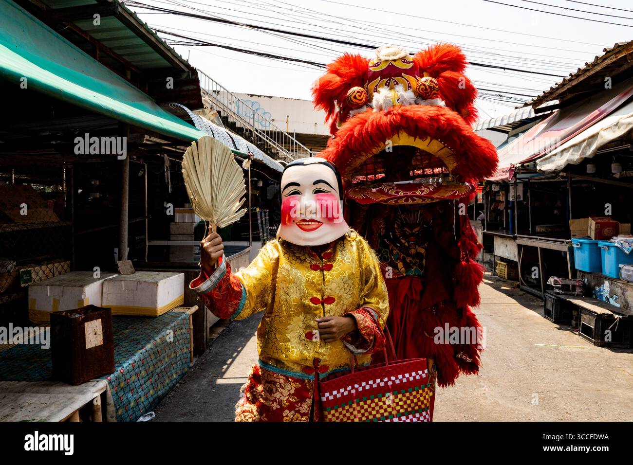 24. Februar 2023, Bangkok, Thailand: Jugendliche Cannabispflanzen werden in der Sonne auf der Straße gesehen. Das tägliche Leben um Lad Krabang, ein Wohnviertel in der Nähe des internationalen Flughafens Suvarnabhumi, in Ost-Bangkok, Thailand, am 24. Februar 2022. (Kreditbild: © Matt Hunt/ZUMA Press Wire) Stockfoto