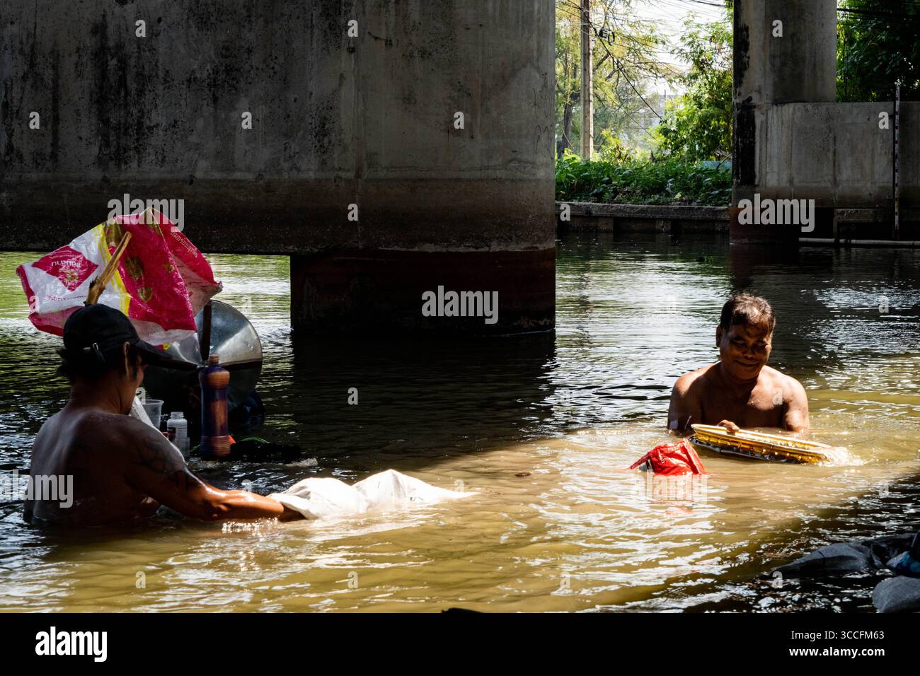 24. Februar 2023, Bangkok, Thailand: Jugendliche Cannabispflanzen werden in der Sonne auf der Straße gesehen. Das tägliche Leben um Lad Krabang, ein Wohnviertel in der Nähe des internationalen Flughafens Suvarnabhumi, in Ost-Bangkok, Thailand, am 24. Februar 2022. (Kreditbild: © Matt Hunt/ZUMA Press Wire) Stockfoto