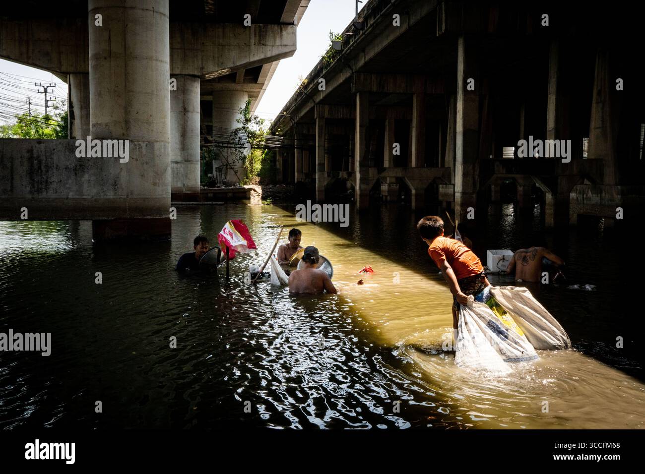 24. Februar 2023, Bangkok, Thailand: Jugendliche Cannabispflanzen werden in der Sonne auf der Straße gesehen. Das tägliche Leben um Lad Krabang, ein Wohnviertel in der Nähe des internationalen Flughafens Suvarnabhumi, in Ost-Bangkok, Thailand, am 24. Februar 2022. (Kreditbild: © Matt Hunt/ZUMA Press Wire) Stockfoto