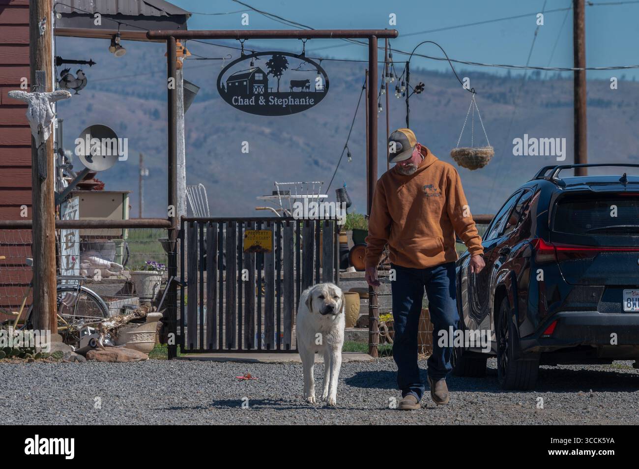 Sierra, ca. 6. Mai 2025. Chad Smith geht mit seinem Hund Mayo am Dienstag, den 6. Mai 2025. in Sierra Valley. Im April warnte Mayo ihn um 1:30 Uhr auf die Anwesenheit von drei Wölfen, die nur 30 Meter von seiner Veranda entfernt waren. "Hoffentlich können wir diese Wölfe in Zukunft umsiedeln und an einen anderen Ort bringen, wo sie hingehören." "nicht hier draußen essen unser Vieh, essen unsere Existenzgrundlage. Es ist schrecklich, etwas lebendig gefressen zu sehen“, sagte Smith, der Hunderte von Dollar für Antibiotika ausgegeben hat, um seine verletzten Kühe zu retten. (Kreditbild: © Renée C. Byer/ZUMA Press Wire) NUR REDAKTIONELLE VERWENDUNG! Nicht Stockfoto