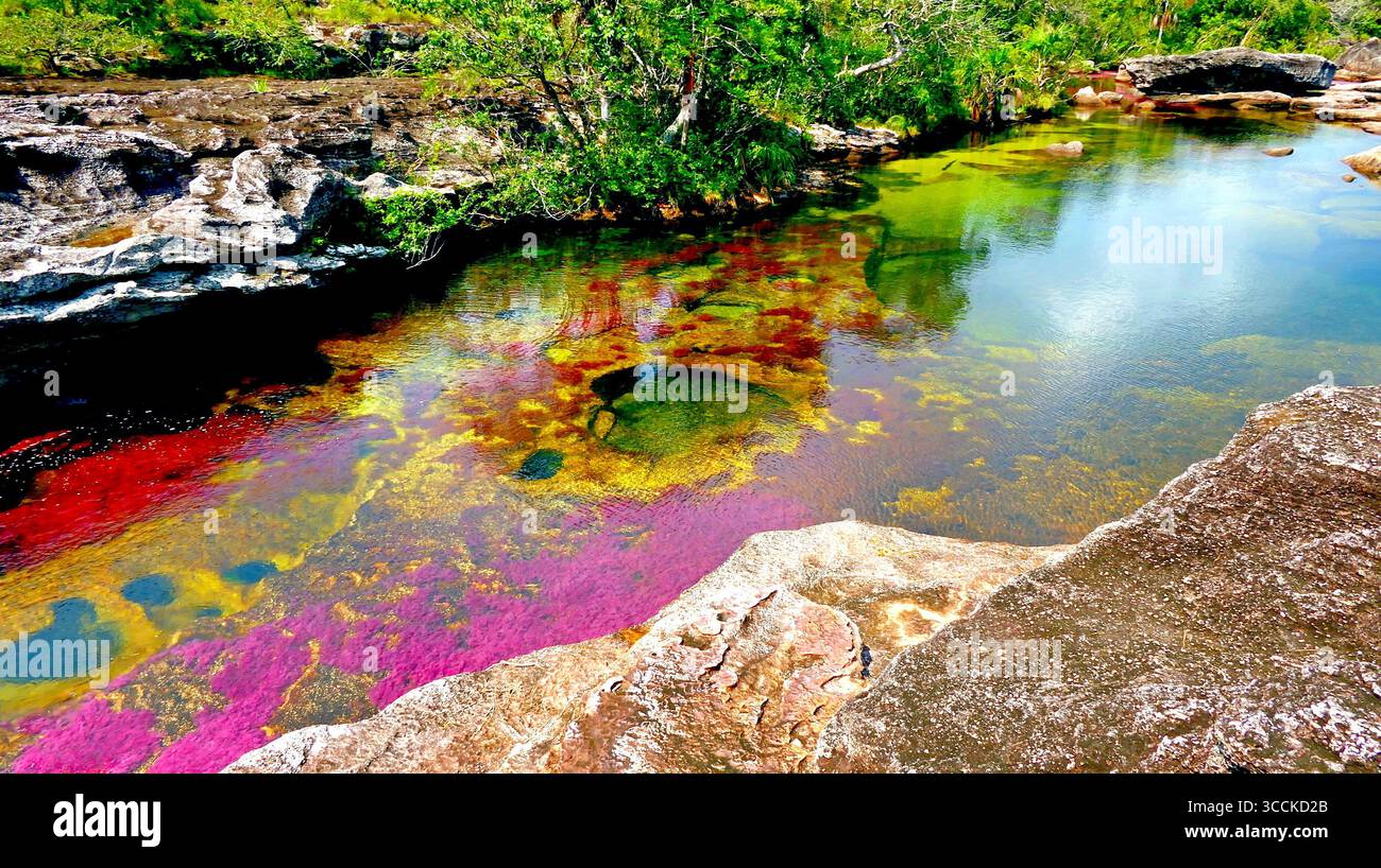 Blick auf den schönsten Fluss der Welt, Caño Cristales, eine Perle der Natur im tropischen Kolumbien Stockfoto