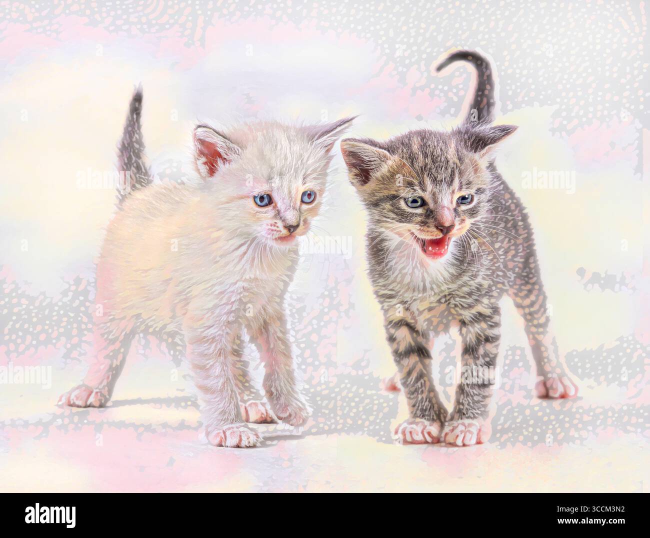 Baby-Tier Hauskatzenpaare, die auf Felsen klettern. Stilisierte digitale Fotokunst. Stockfoto