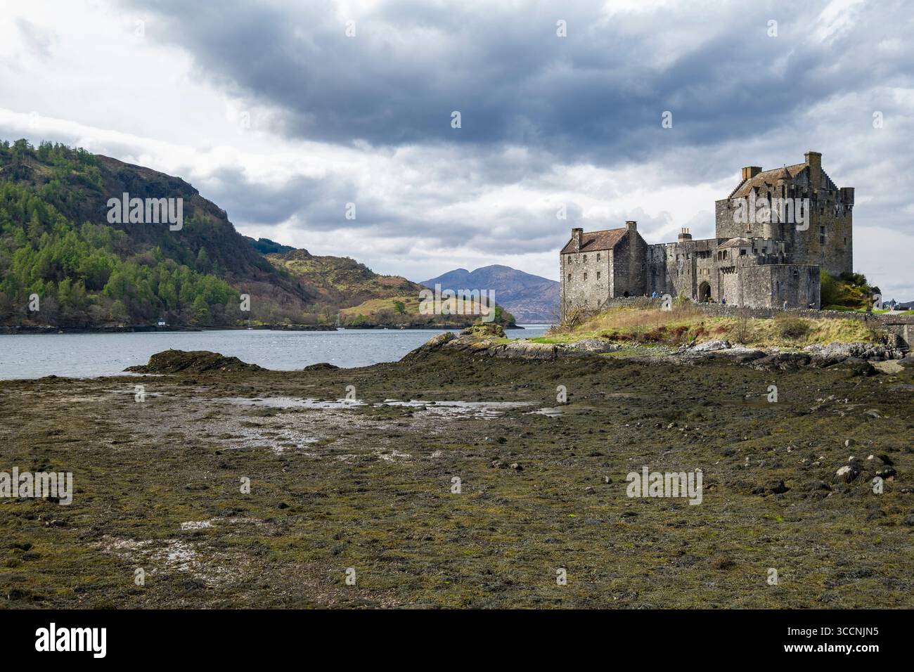 Castle befindet sich auf Eilean Donan, einer kleinen Gezeiteninsel am Zusammenfluss von drei Seen, Dornie, Highland, Schottland, Vereinigtes Königreich Stockfoto