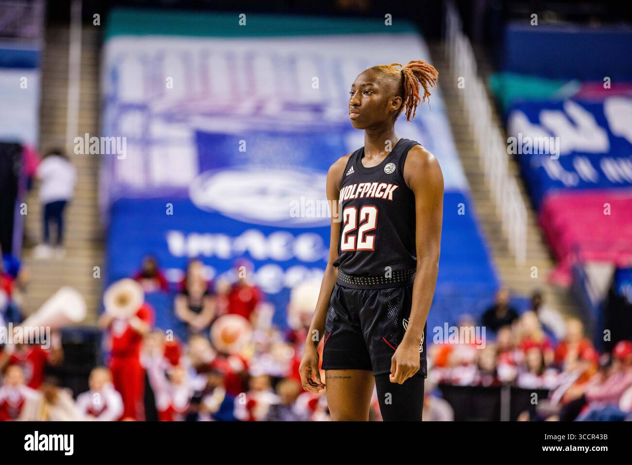 3. März 2023: NC State Wolfpack Wachmann Saniya Rivers (22) im Viertelfinale des Women's ACC Turniers gegen die Notre Dame im Greensboro Coliseum in Greensboro, NC. (Scott Kinser/Cal Sport Media) (Bild: © Scott Kinser/CSM via ZUMA Press Wire) Stockfoto