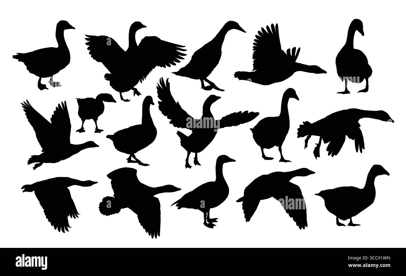 Legen Sie Silhouetten von Gänsen fest. Stock Vektor