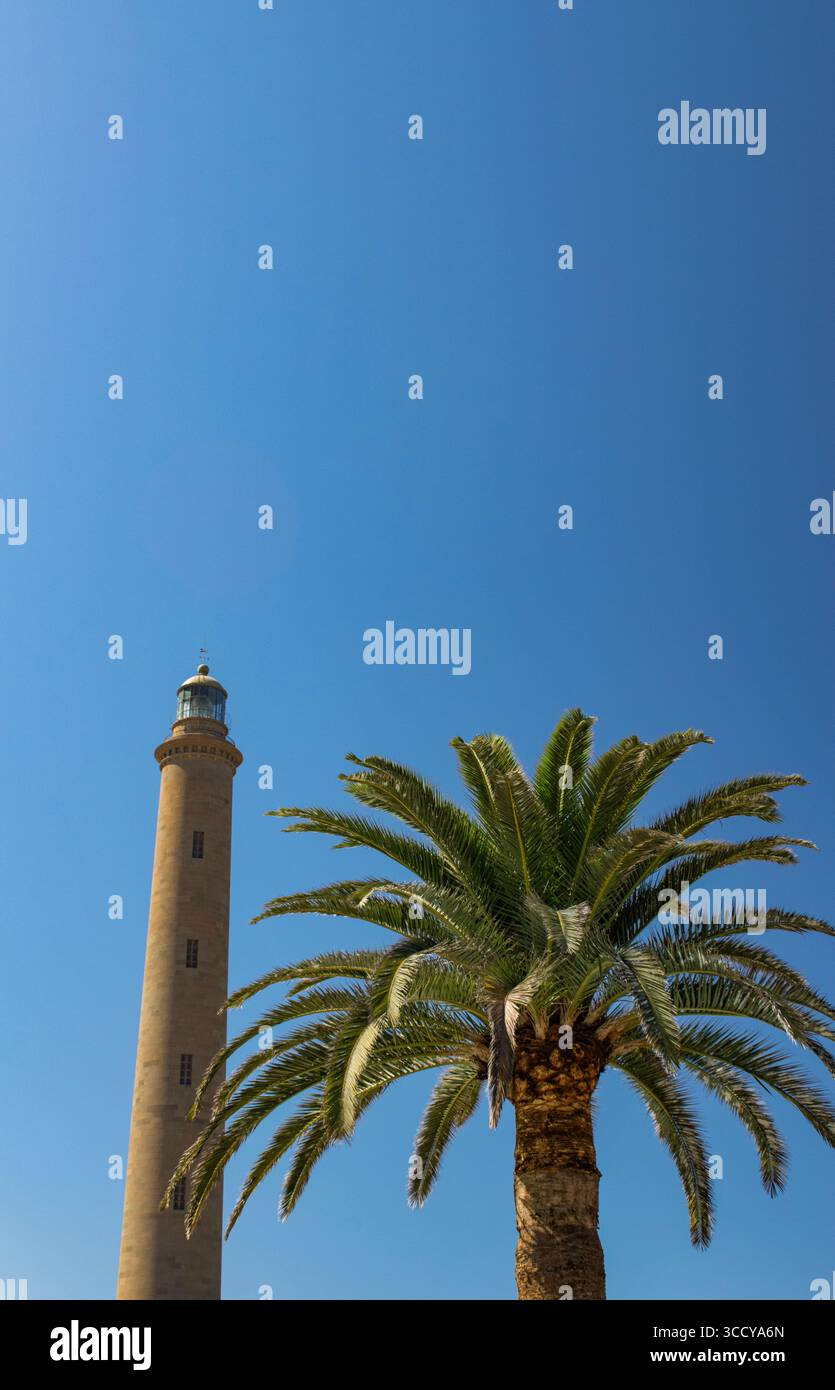 Gran Canaria, Kanarische Inseln: Palme und Leuchtturm von Maspalomas, historischer Leuchtturm, der zwischen 1861 und 1889 an der Südspitze der Insel erbaut wurde Stockfoto