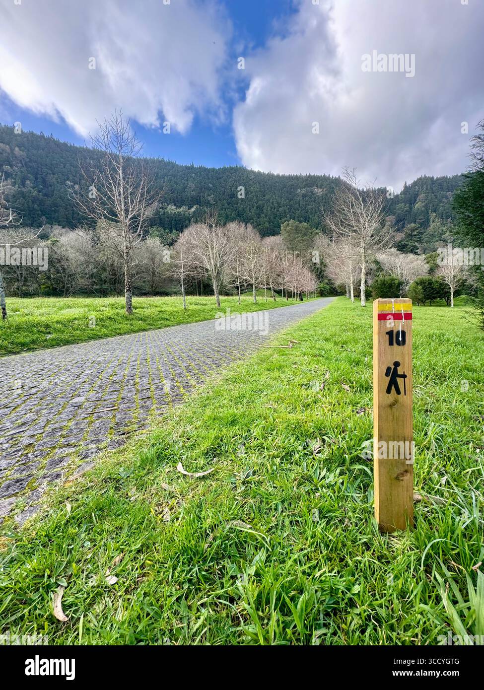 Wandern auf dem Rundweg rund um den Furnas-See, umgeben von üppigem Grün auf den Azoren. - Smartphone-aufgenommenes Stockfoto