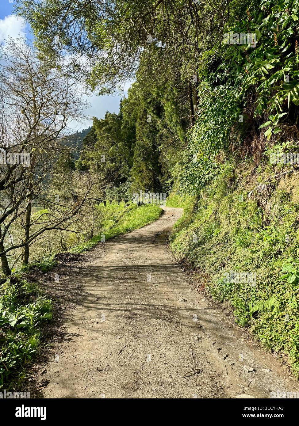 Wandern auf dem Rundweg rund um den Furnas-See, umgeben von üppigem Grün auf den Azoren. - Smartphone-aufgenommenes Stockfoto