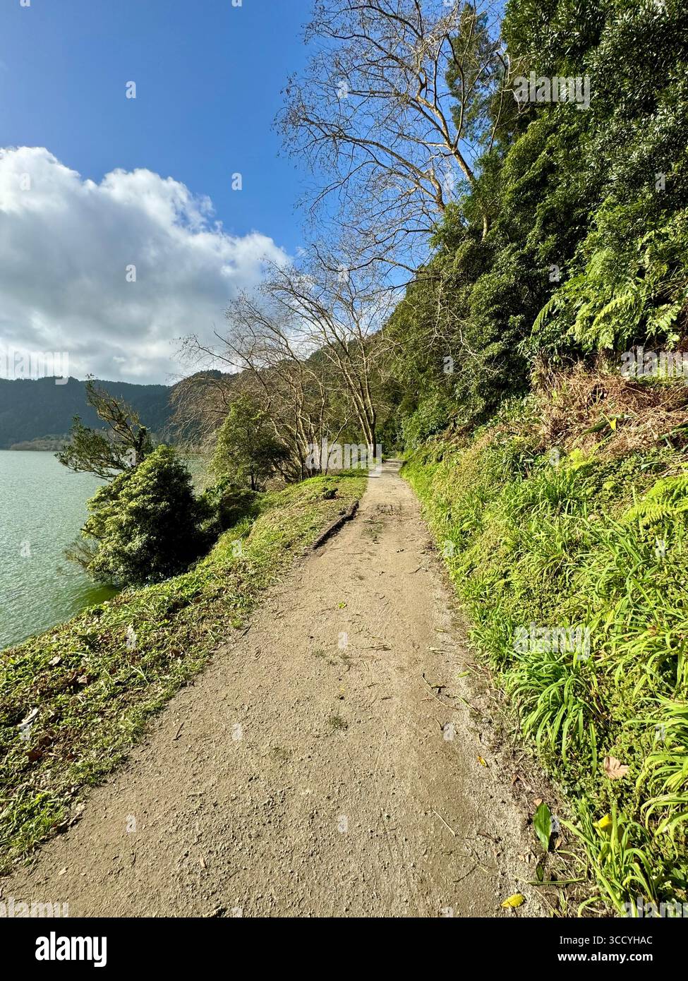 Wandern auf dem Rundweg rund um den Furnas-See, umgeben von üppigem Grün auf den Azoren. - Smartphone-aufgenommenes Stockfoto