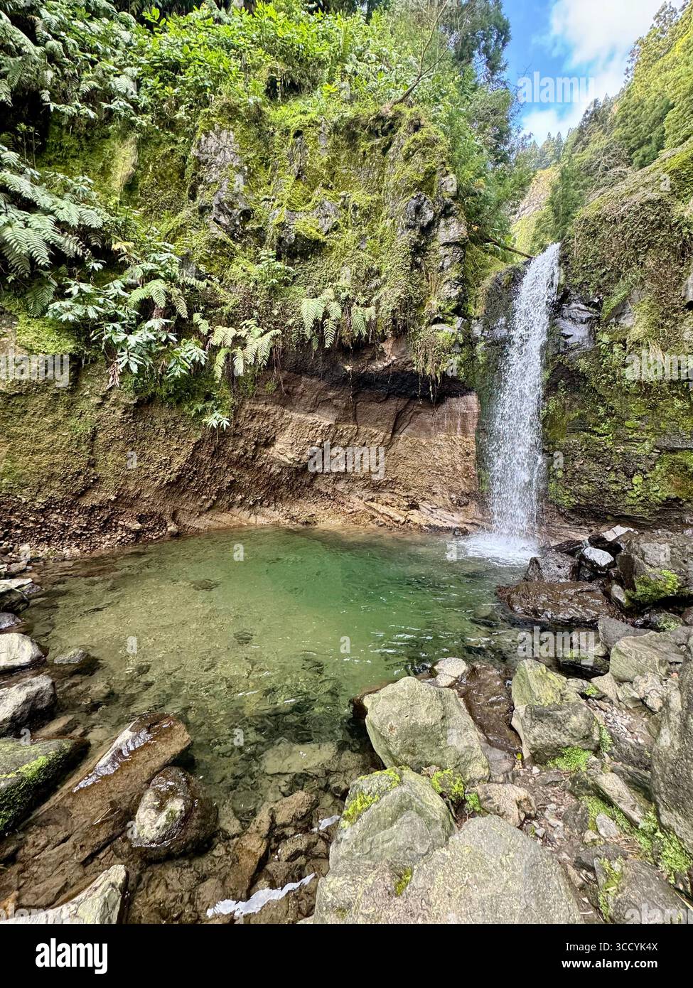 Malerischer Wasserfall, der in ein klares Naturbecken stürzt, entlang eines Wanderweges im Grená Park, in der üppigen Landschaft der Azoren, Portugal. - Smartphone-aufgenommenes Stockfoto
