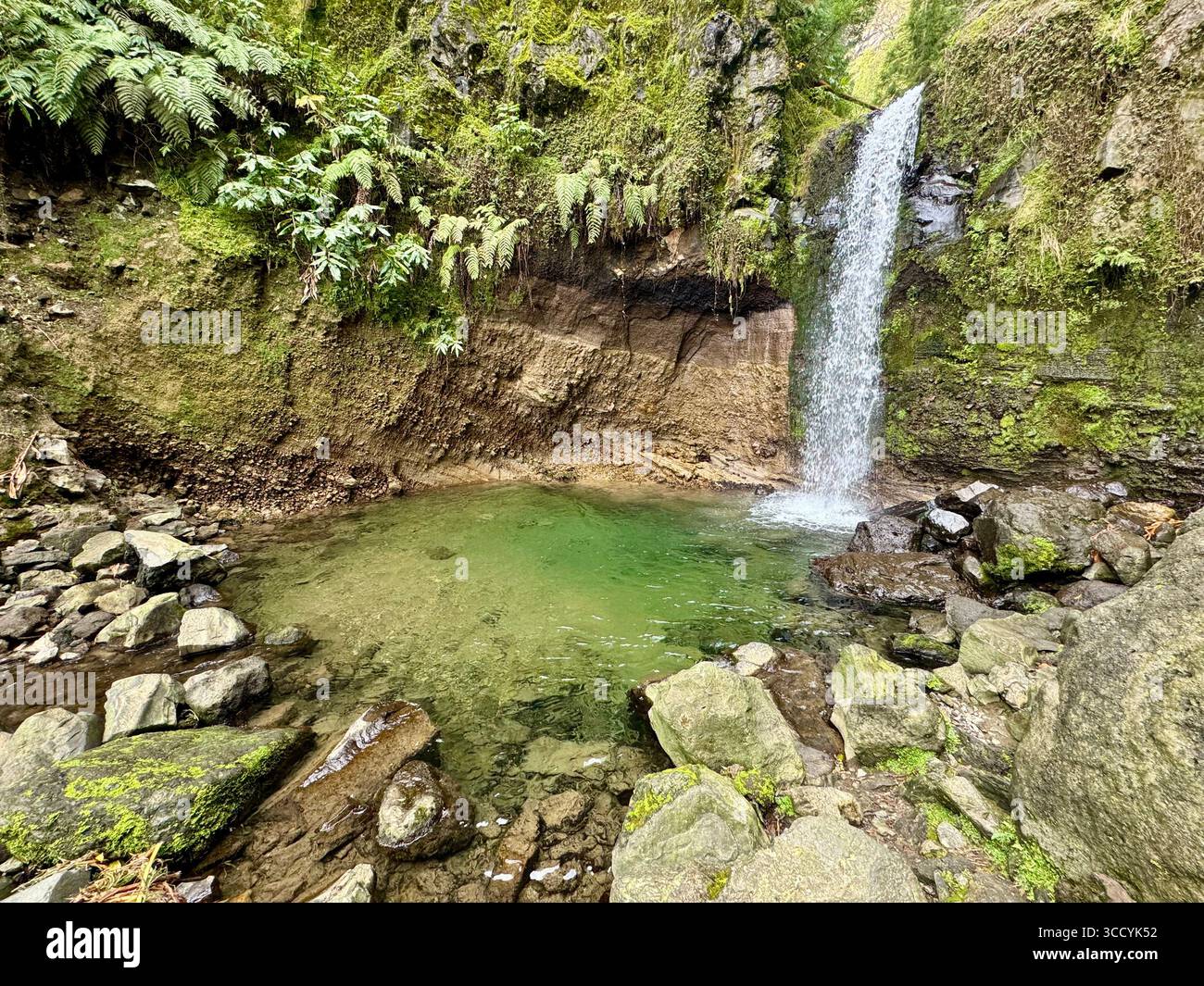 Malerischer Wasserfall, der in ein klares Naturbecken stürzt, entlang eines Wanderweges im Grená Park, in der üppigen Landschaft der Azoren, Portugal. - Smartphone-aufgenommenes Stockfoto