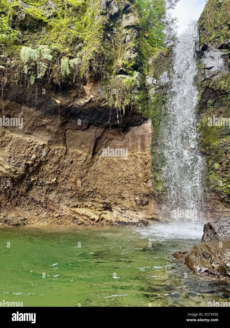 Malerischer Wasserfall, der in ein klares Naturbecken stürzt, entlang eines Wanderweges im Grená Park, in der üppigen Landschaft der Azoren, Portugal. - Smartphone-aufgenommenes Stockfoto