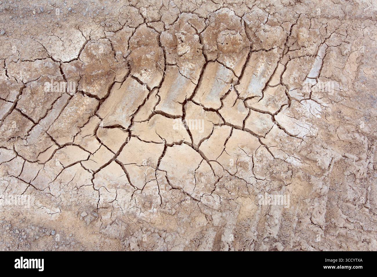 Nahaufnahme von trockenem Lehmboden mit tiefen Rissen, die Trockenheit und extreme Bedingungen symbolisieren. Perfekt für Themen Umwelt und Ökologie. Stockfoto