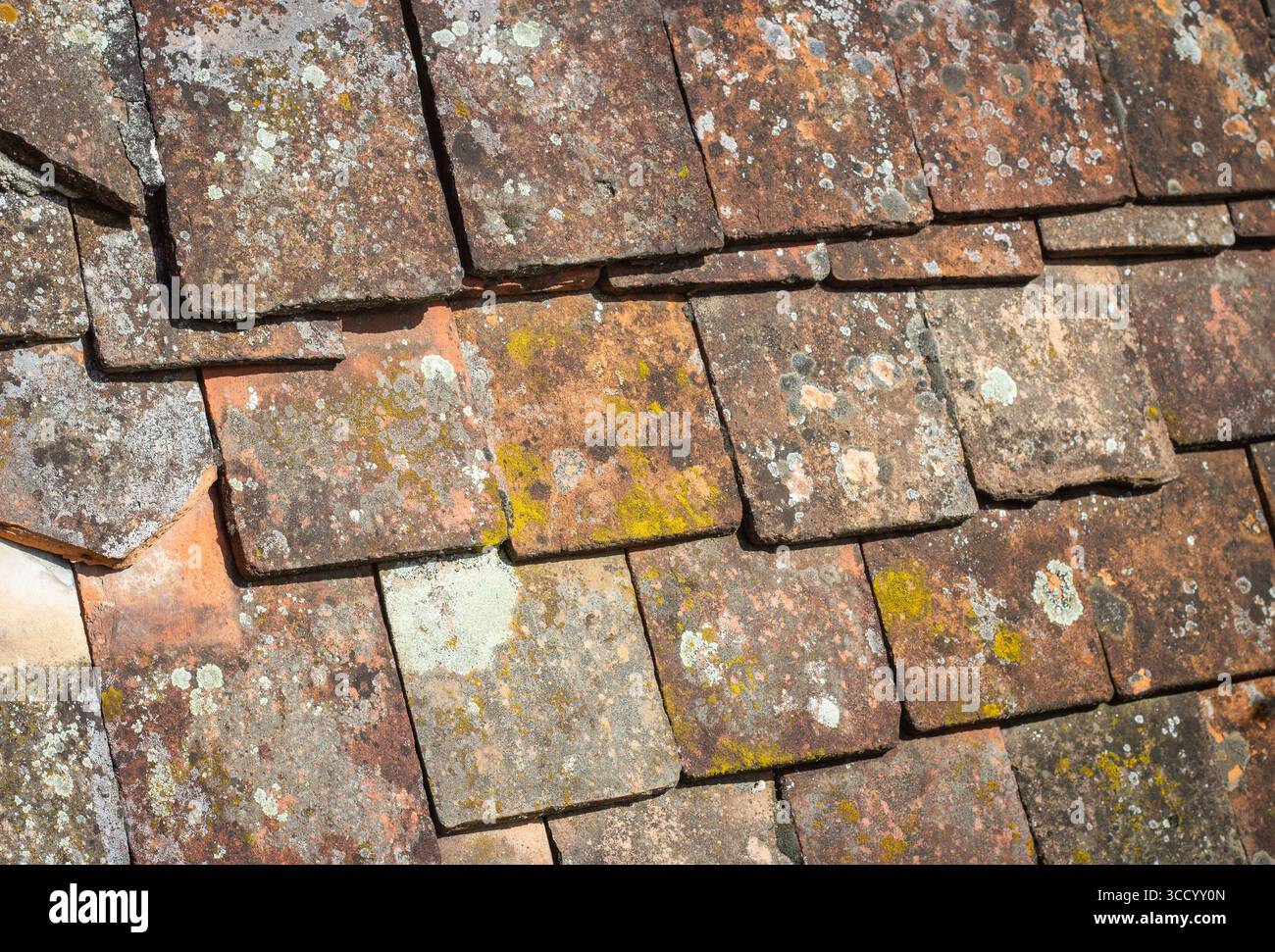 Alte Rettich-Dachziegel mit Flechten Stockfoto