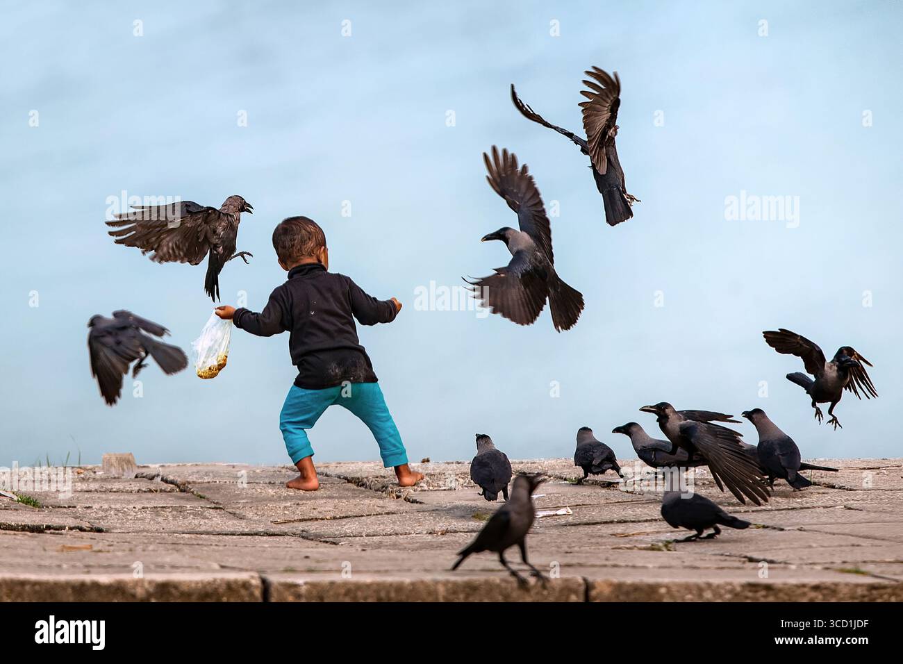 Bogura, Bangladesch - 20. November 2021: Blick auf ein Kind in leuchtend blauen Hosen, das Futter für eine Krähenherde am hellen Himmel auf einem Stein verstreut Stockfoto
