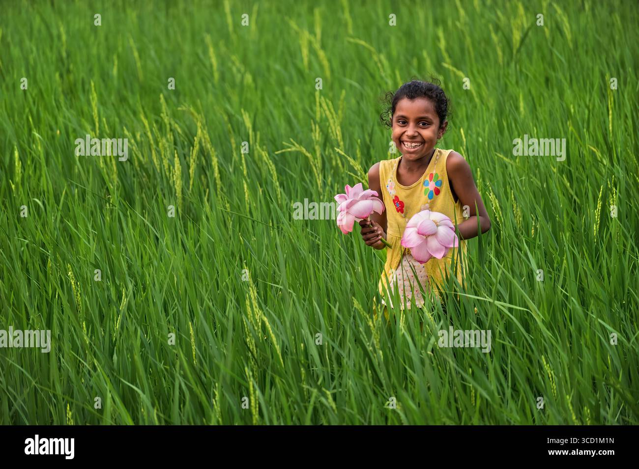 Bogura, Bangladesch - 29. März 2022: Blick auf ein Mädchen inmitten eines Meeres aus grünen Reisfeldern, ihr helles Lächeln und rosa Lotusblüten ein lebendiger Kontrast zur grünen Landschaft. Stockfoto