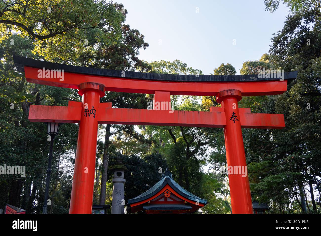 Rotes Torii-Tor am Fushimi Inari Taisha in Kyoto, Japan, eingerahmt von dichten grünen Bäumen und Schrein-Architektur Stockfoto