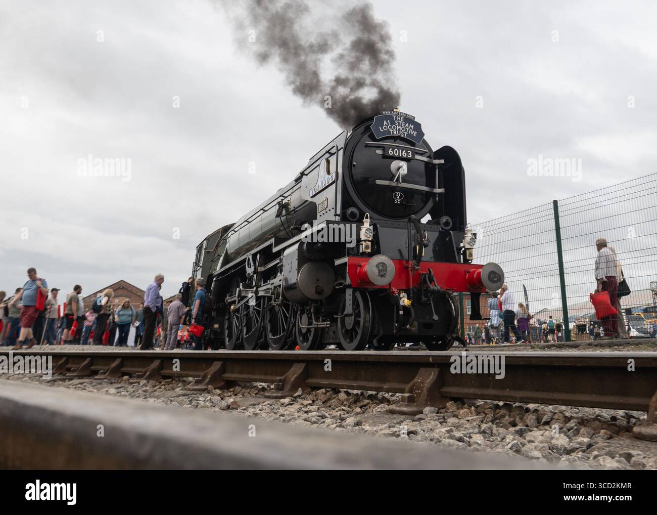 Derby Litchurch Lane Works, Litchurch Lane, Derby, England, 3. August 2025. Eine allgemeine Ansicht des LNER Pfeffermais Klasse A1 60163 Tornado während des Alstom stellt „die größte Versammlung“ dar. (Kreditbild: ©Cody Froggatt/Alamy Live News) Stockfoto