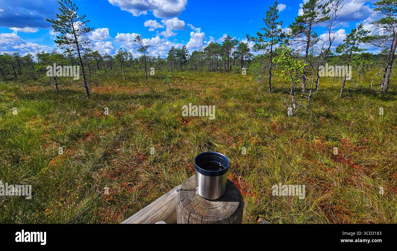 Reisebecher auf Holzpfosten in der Moorlandschaft mit Kiefern und blauem Himmel Stockfoto