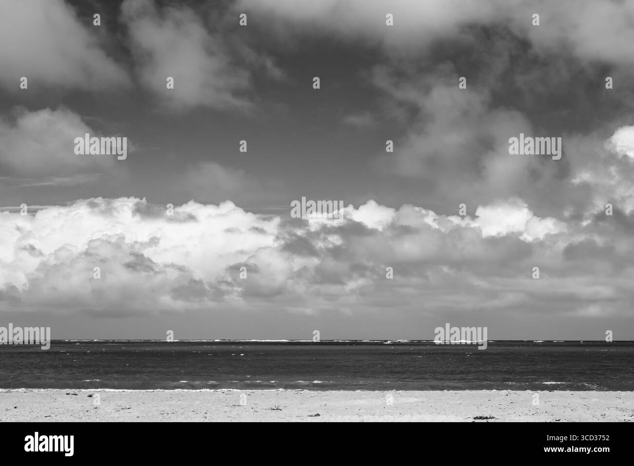 Wellen am Sunset Beach von Oahu in Schwarz-weiß Stockfoto