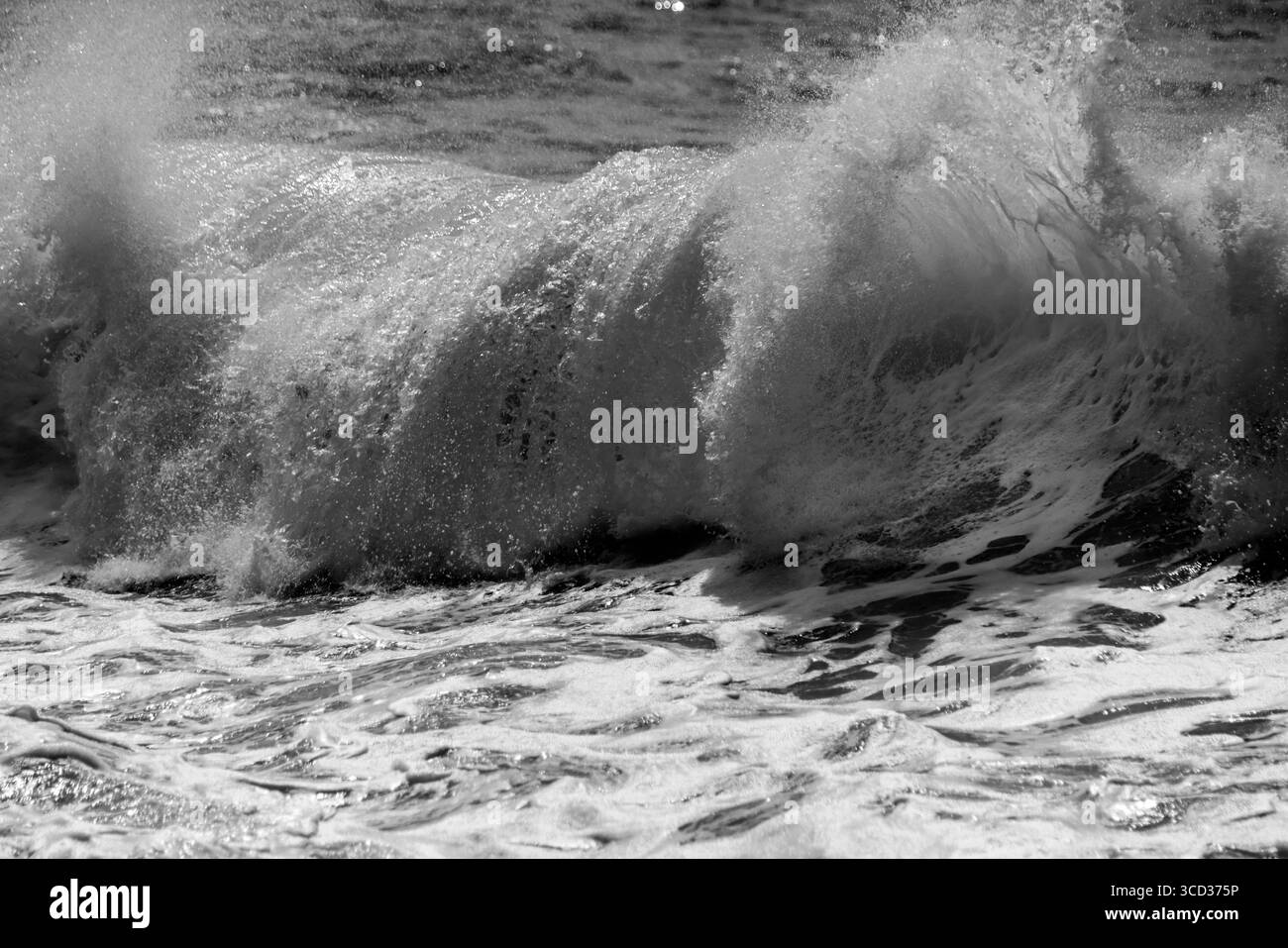 Wellen am Sunset Beach von Oahu in Schwarz-weiß Stockfoto