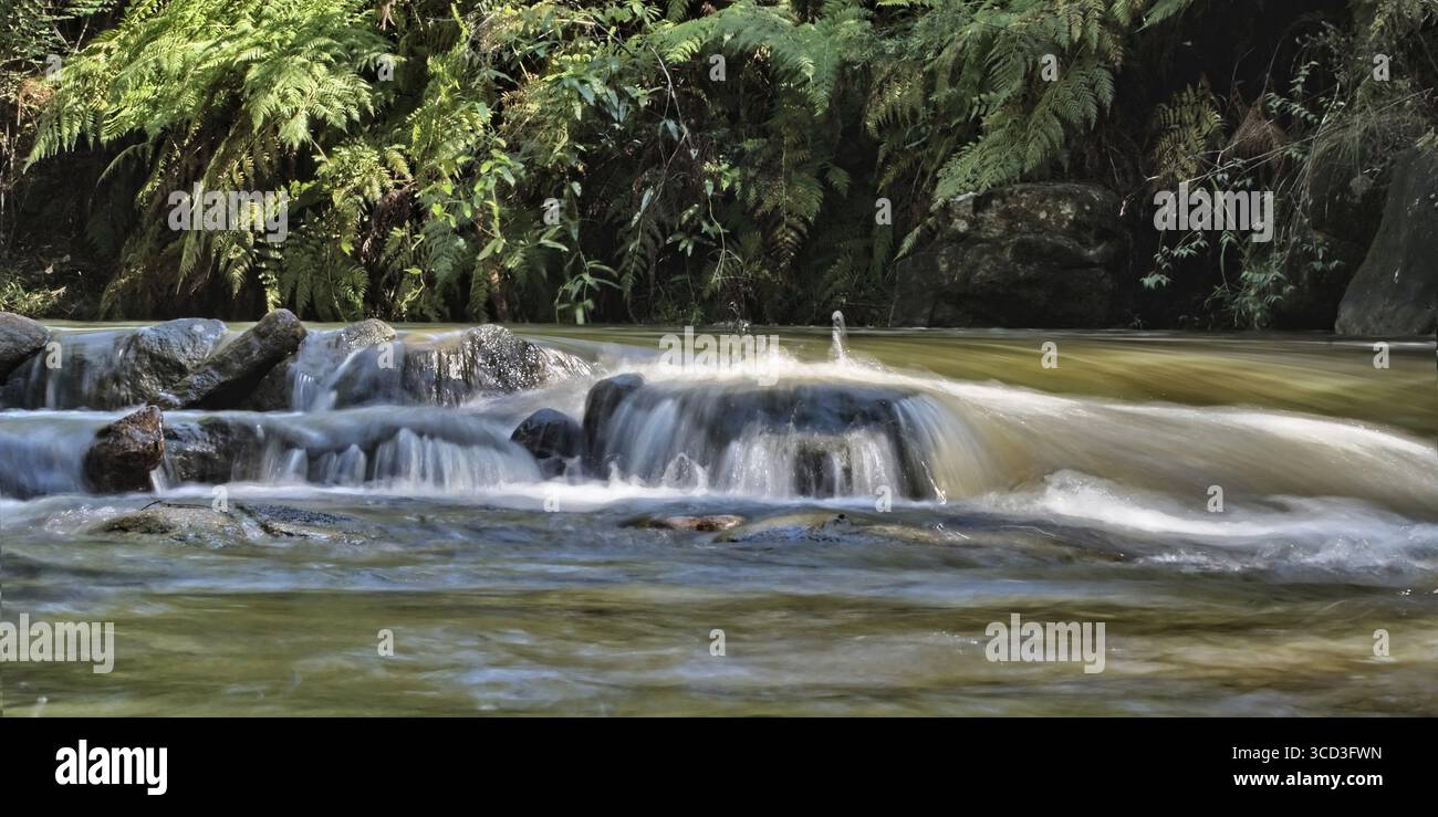Großartiges Bild von weichem Wasser, das über die Felsen im Fluss fließt Stockfoto