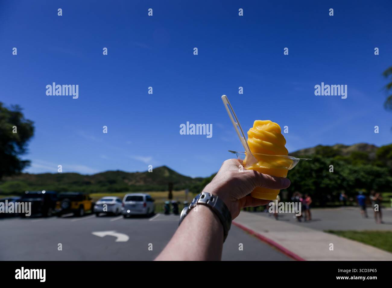 Diamond Head, Oahu – 28. März 2022: Eine Hand mit einem Ananaseis im Diamond Head National Park auf Oahu Stockfoto
