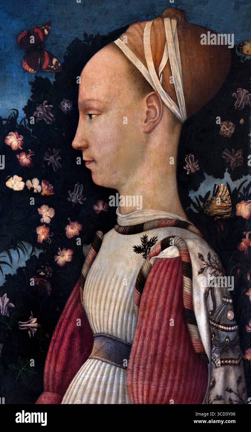 Porträt der Prinzessin (Margherita Gonzaga, Ginevra d'Este oder Lucia d'Este). 1435 Antonio di Puccio Pisano - Pisanello 1395-1455 Italien Italienisch. Museum Louvre Frankreich. Das Porträt „Ginevra d’Este“ wurde von Antonio Pisanello (auch bekannt als Antonio di Puccio Pisano) zwischen 1395 und 1455 gemalt. Es zeigt Ginivra d'Este, eine Prinzessin der Familie Este. Das Gemälde ist ein Beispiel italienischer Renaissance-Kunst, insbesondere innerhalb der gotischen Kunst und der frühen Renaissance. Stockfoto Porträt der Prinzessin (Margherita Gonzaga, Ginevra d'Este oder Lucia d'Este). 1435 Antonio di Puccio Pisano - Pisanello 1395-1455 Italien Italienisch. Museum Louvre Frankreich. Das Porträt „Ginevra d’Este“ wurde von Antonio Pisanello (auch bekannt als Antonio di Puccio Pisano) zwischen 1395 und 1455 gemalt. Es zeigt Ginivra d'Este, eine Prinzessin der Familie Este. Das Gemälde ist ein Beispiel italienischer Renaissance-Kunst, insbesondere innerhalb der gotischen Kunst und der frühen Renaissance. Stockfoto