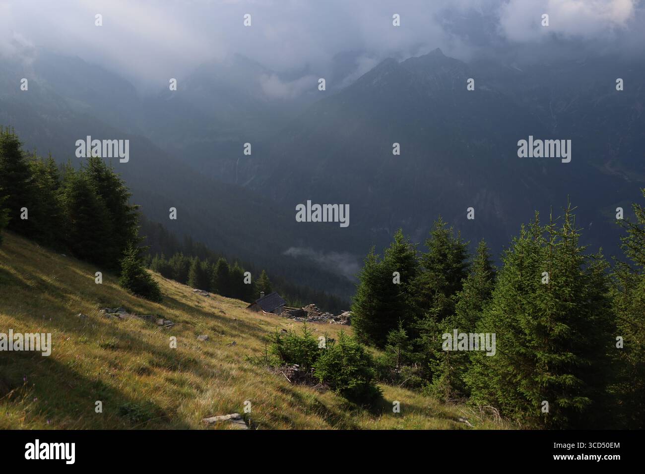 Eine schöne Morgenstimmung in der schweiz Stockfoto