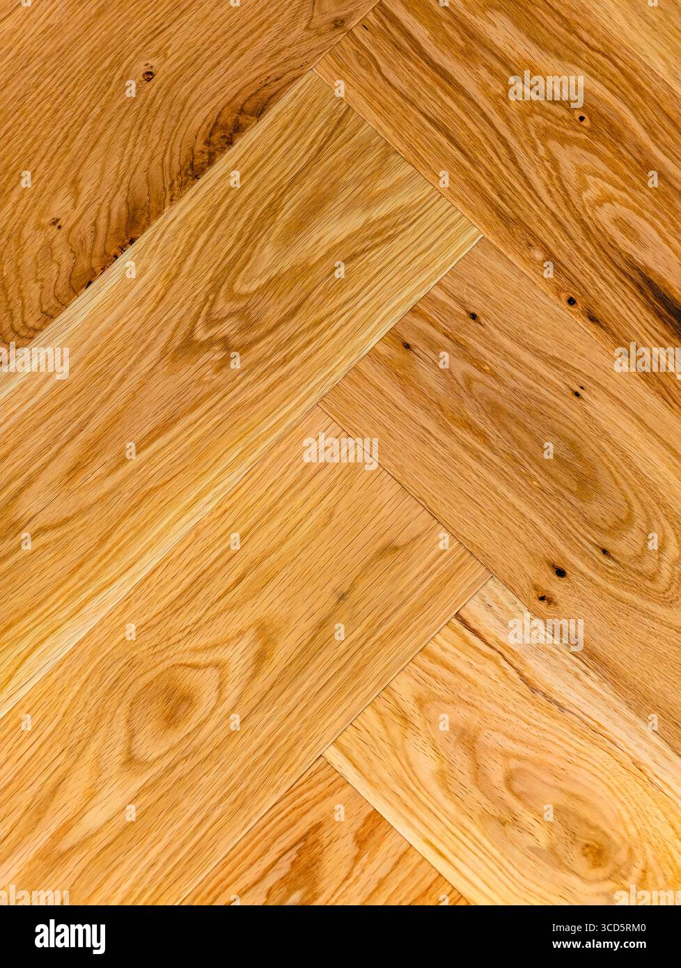 Hochwertige Holzstruktur – warmes Fischgrätmuster für luxuriöses Branding, Website-Design, Social Media-Werbung und professionelle Präsentationen Stockfoto